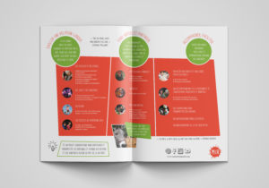 Realisation-graphisme-plaquette-print-support-communication-2