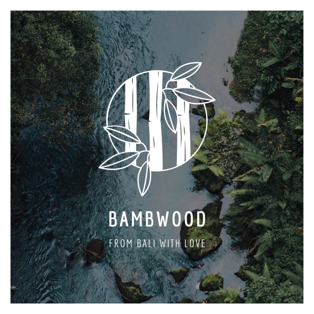 Logo_bambwood_sur_image