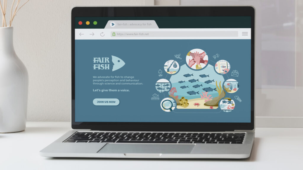 Infographie et landing page de fair-fish